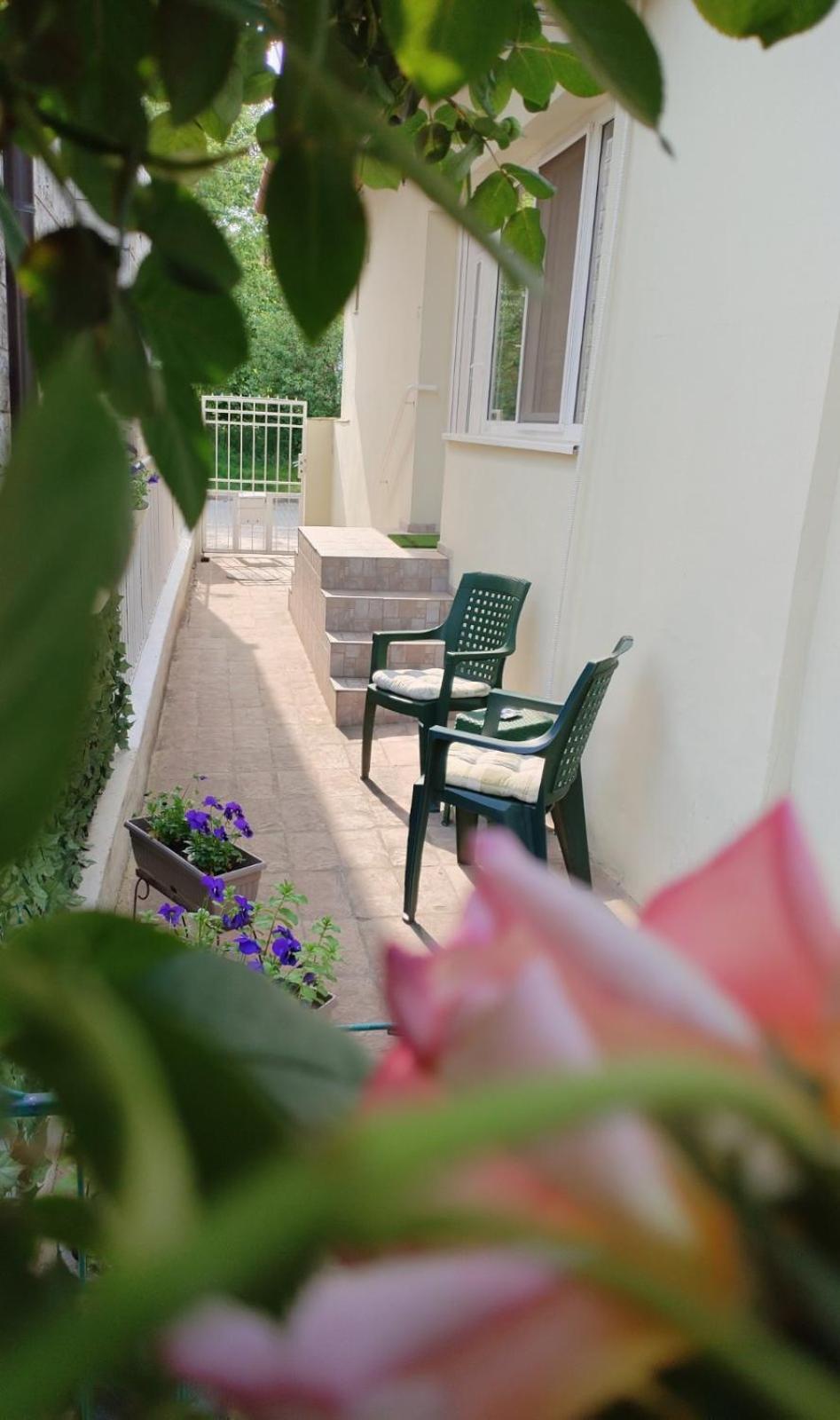 Apartment Green Free Private Parking Novi Sad Eksteriør billede